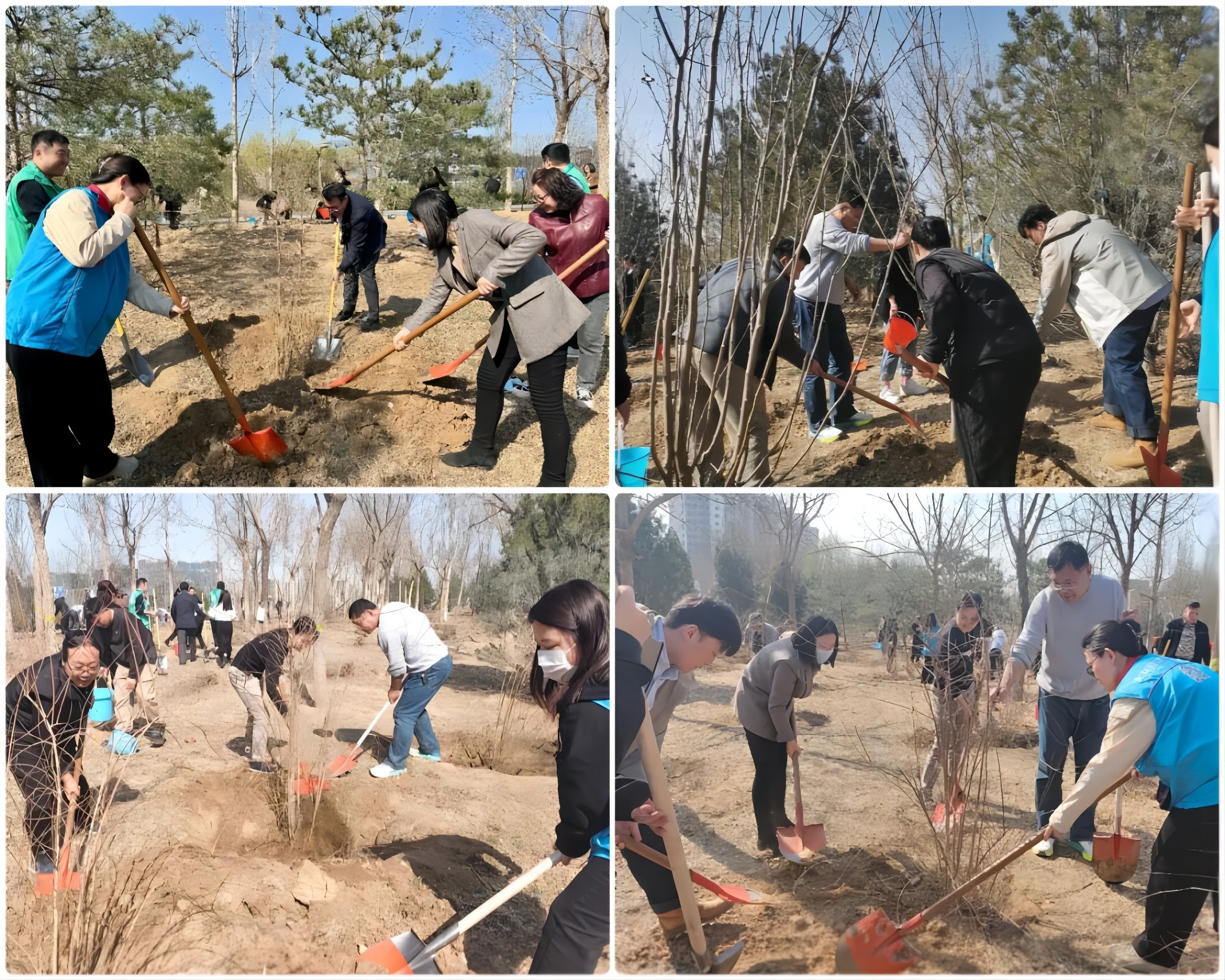 1712454001234894.jpg 1(1).jpg